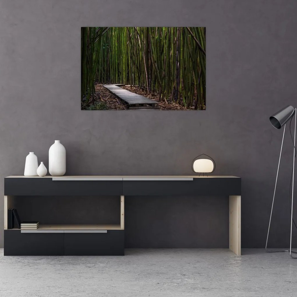 Tablou - Între bambus (90x60 cm)
