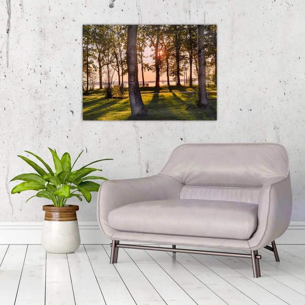 Tablou cu pomi lângă lac (70x50 cm)
