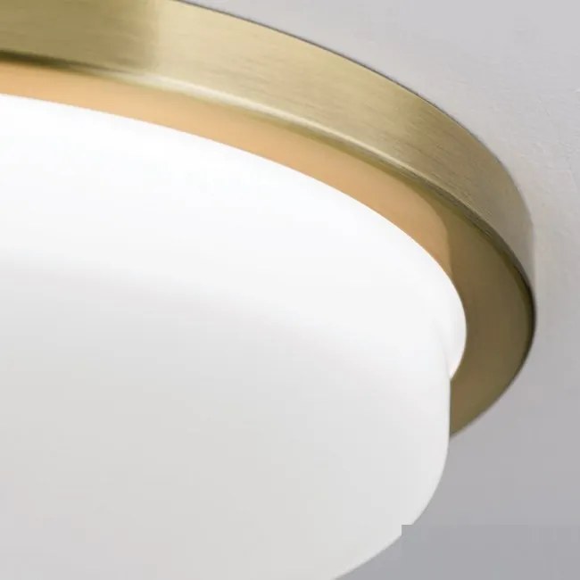 Plafoniera LED moderna LEROX 30cm alama antique