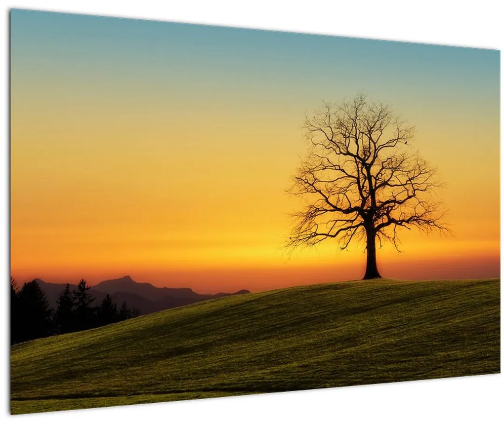 Tablou - Copacul în câmp (90x60 cm)