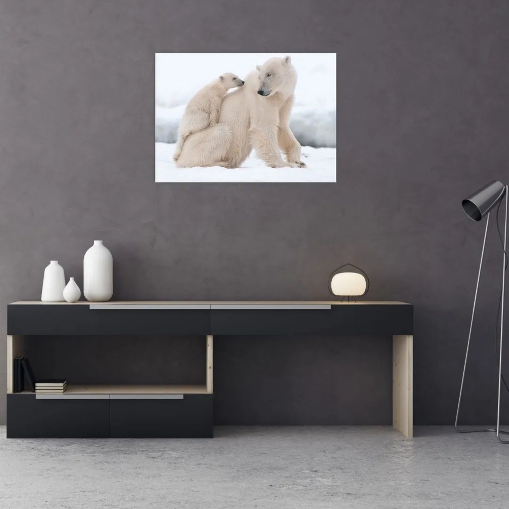Tablou pe sticlă - Urs polar (70x50 cm)