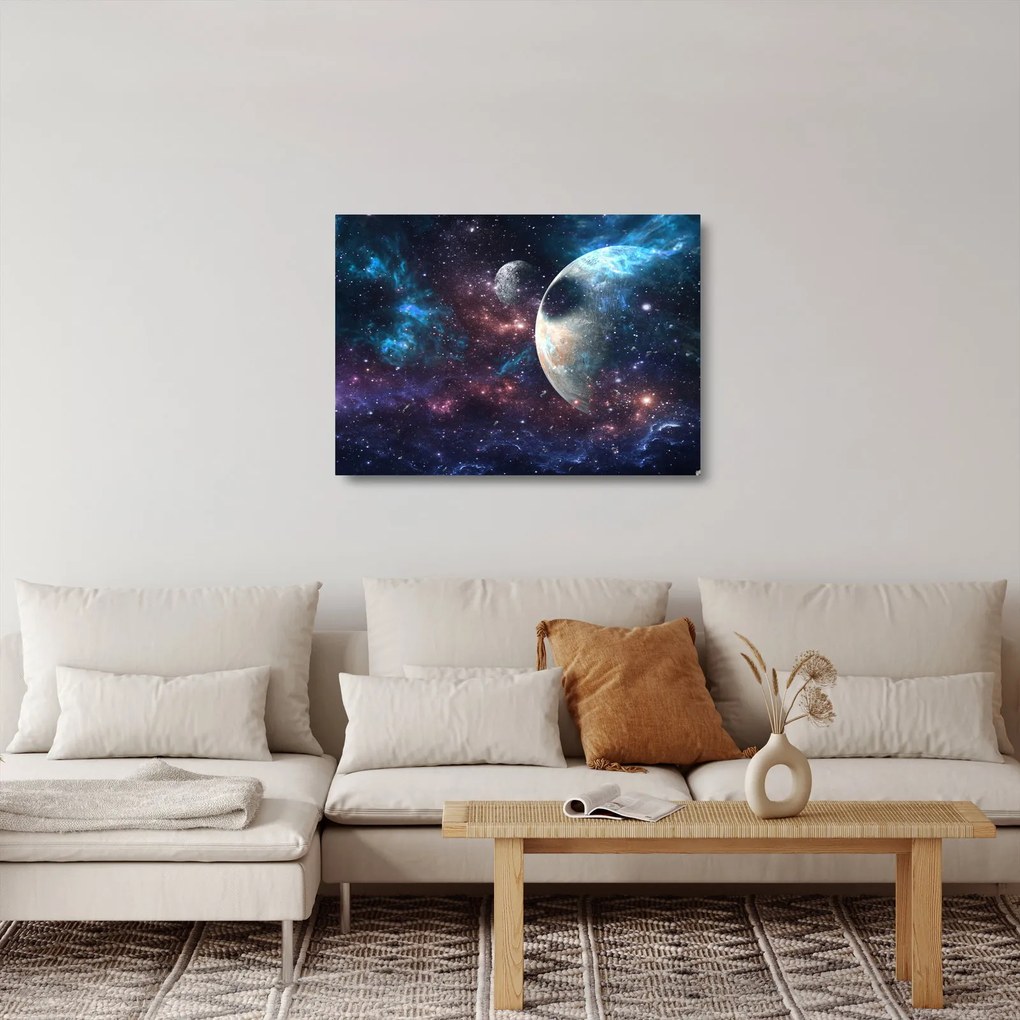 Tablou pe sticlă cu cosmos (70x50 cm)