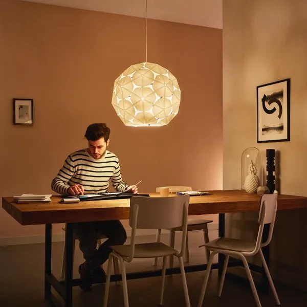 Philips 40914/21/PN - Lustră pe cablu MYLIVING CORKWOOD 1xE27/60W/230V