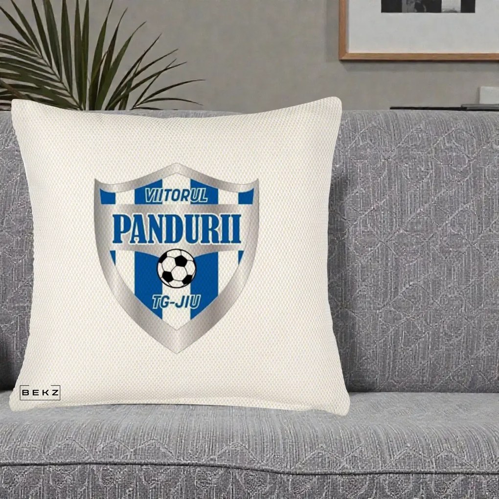Perna Personalizata Pandurii Targu Jiu Fotbal, 40x40 cm, Crem Reliefat, Husa Detasabila, Perna Inclusa, BEKZ®