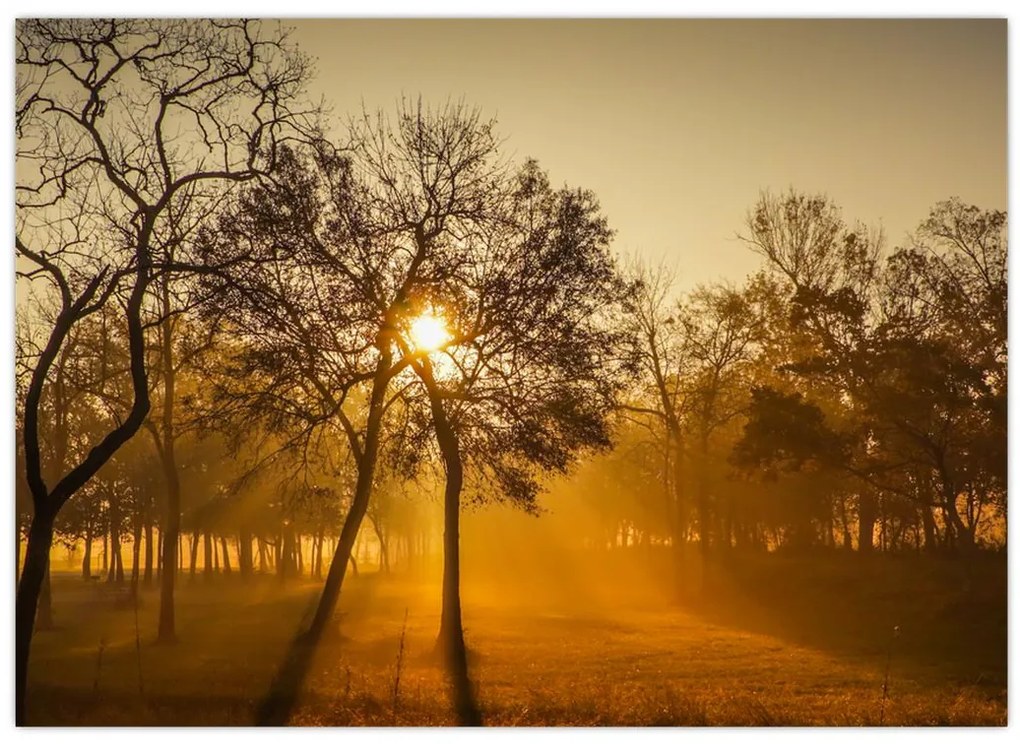Tablou cu răsăsrit de soare (70x50 cm)