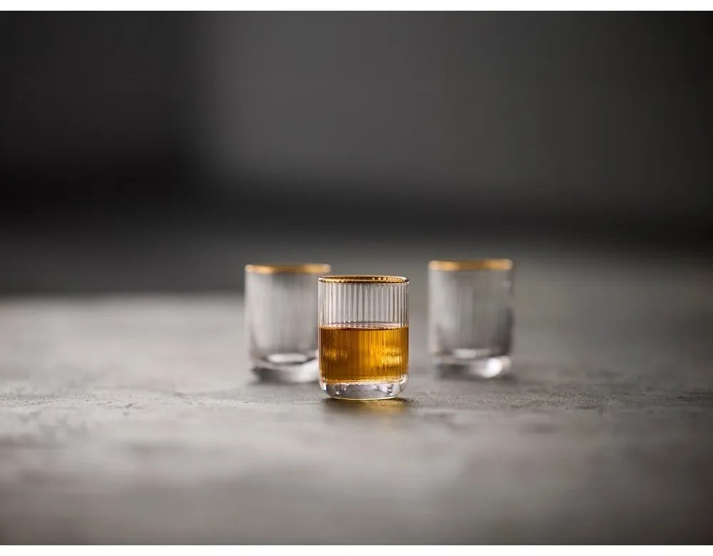 Set de pahare 4 buc. de shoturi 60 ml Palermo – Lyngby Glas