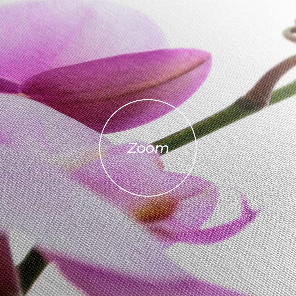 Tablou Canvas, 70x100cm, Dormitor si Living, Flori, Orhidee, Purple Orchid On White