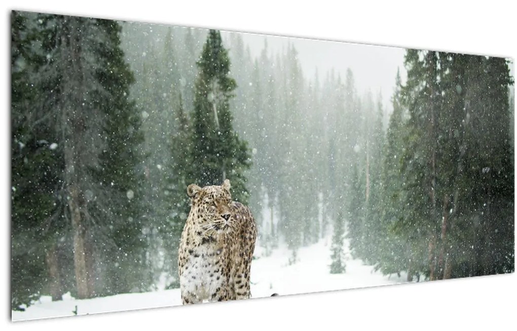 Tablou cu leopard în zăpadă (120x50 cm)