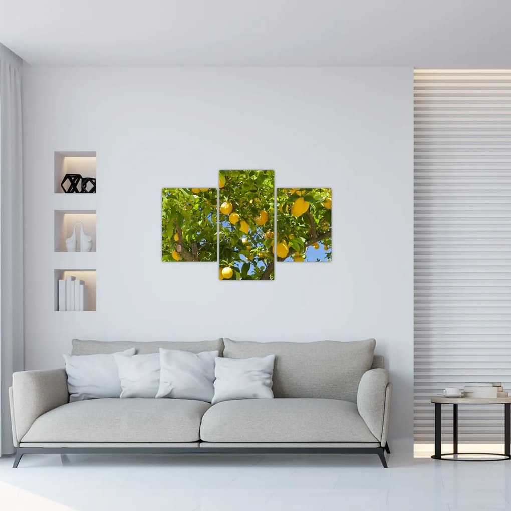 Tablou - Lămâiță (90x60 cm)