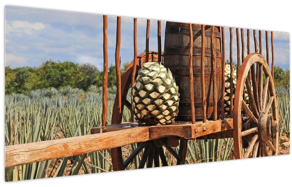 Tablou - Remorcă (120x50 cm)