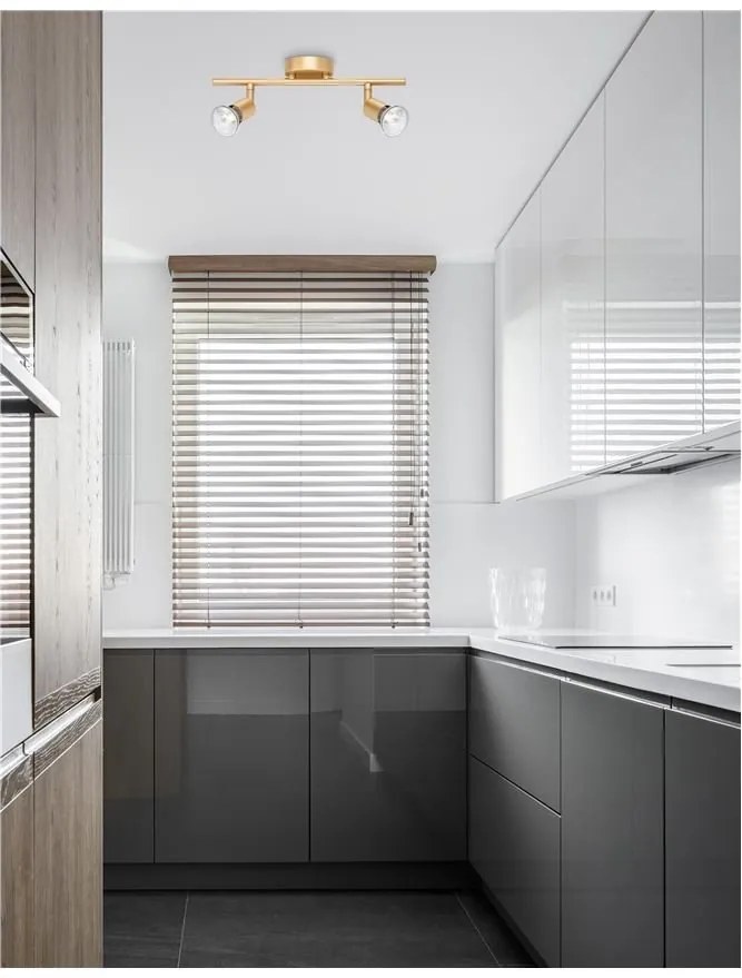 Aplica de perete/tavan cu 2 spoturi design minimalist LUP aurie