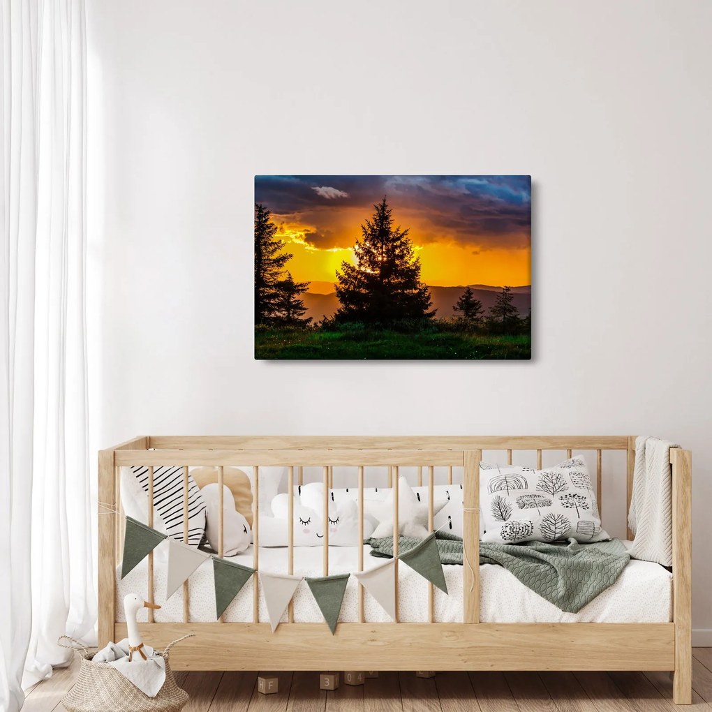 Tablou - coniferi (90x60 cm)