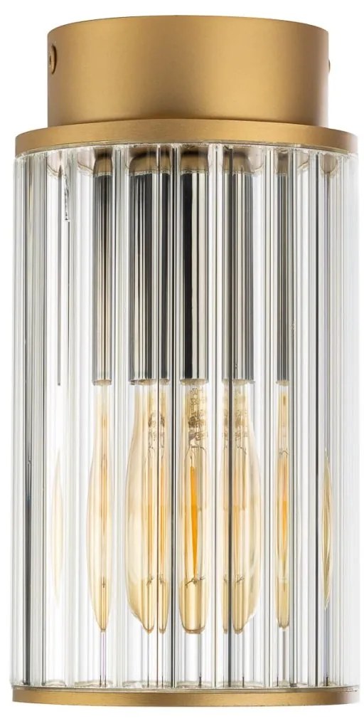 Spot aplicat cu protectie IP44 NORFOLK 8774 auriu