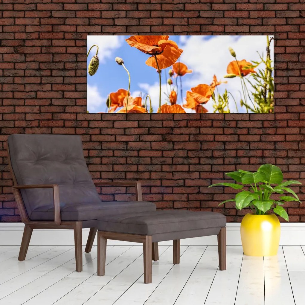 Tablou cu macii (120x50 cm)