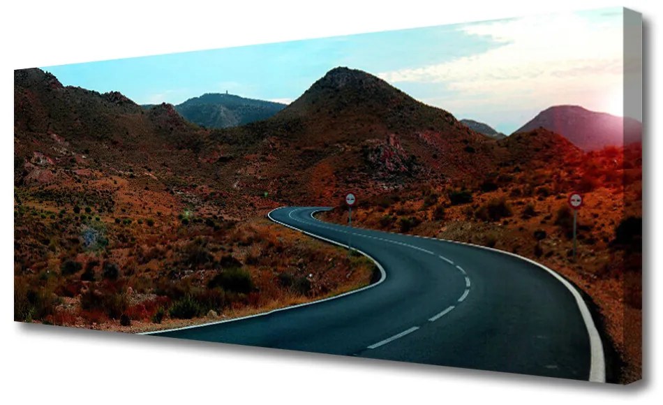 Tablou pe panza canvas Mountain Road Peisaj Maro Negru Alb
