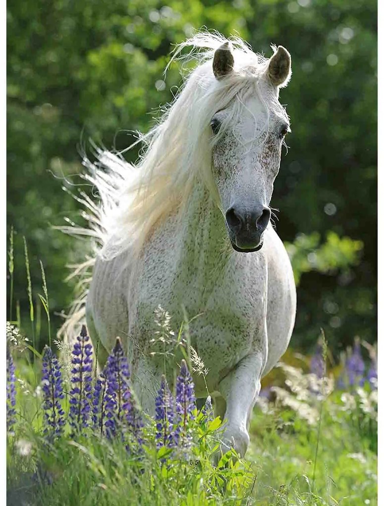 PUZZLE CAL ALB, 100 PIESE - RAVENSBURGER (RVSPC12927)