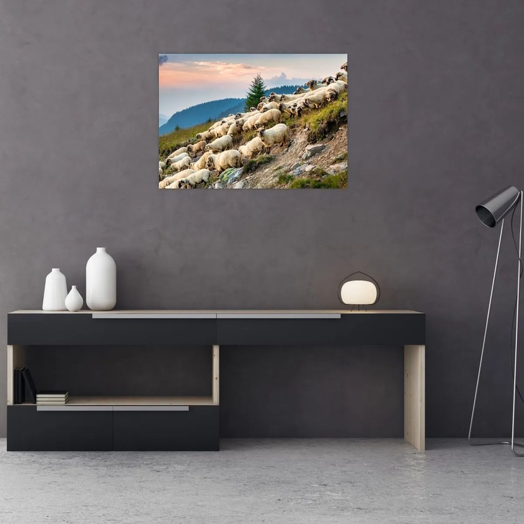 Tablou - O turmă de oi (70x50 cm)