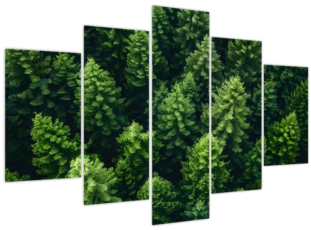 Tablou - Pădure (150x105 cm)