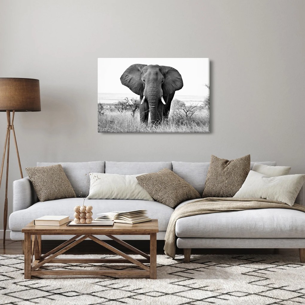 Tablou - Elefantul african II. (90x60 cm)