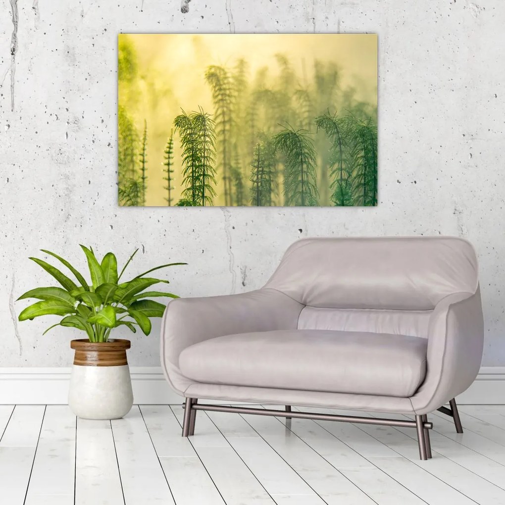 Tablou - Detaliu de primăvară natura cețoasă (90x60 cm)