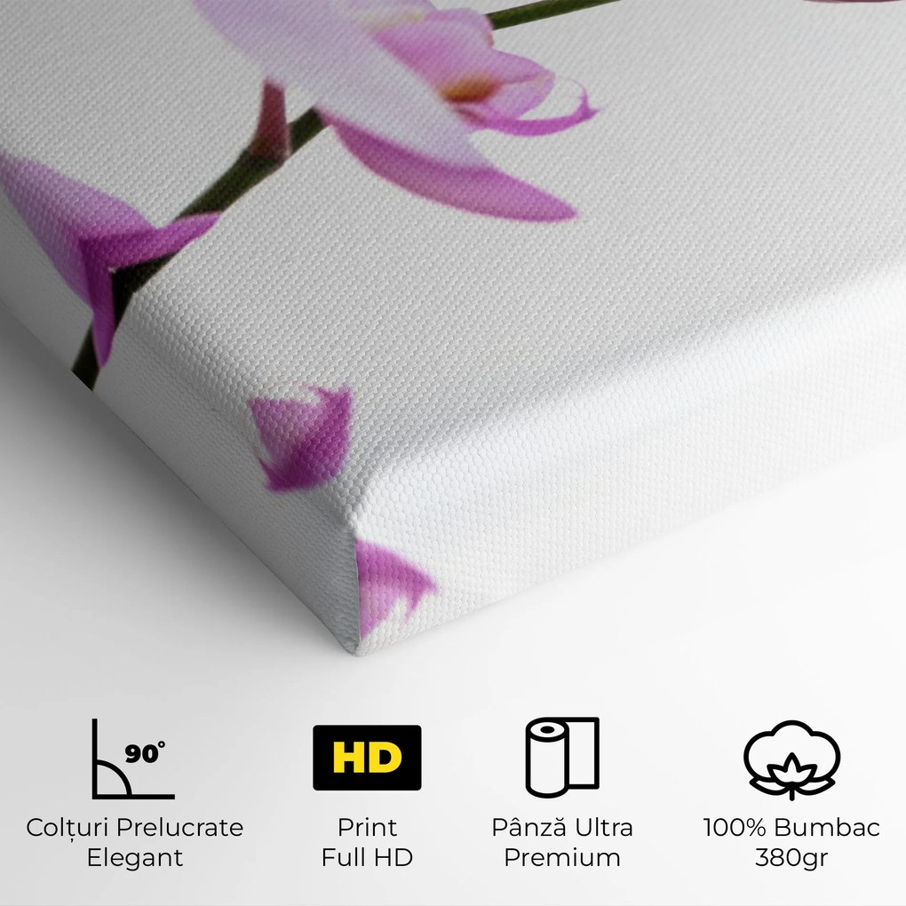 Tablou Canvas, 30x40cm, Dormitor si Living, Flori, Orhidee, Purple Orchid On White
