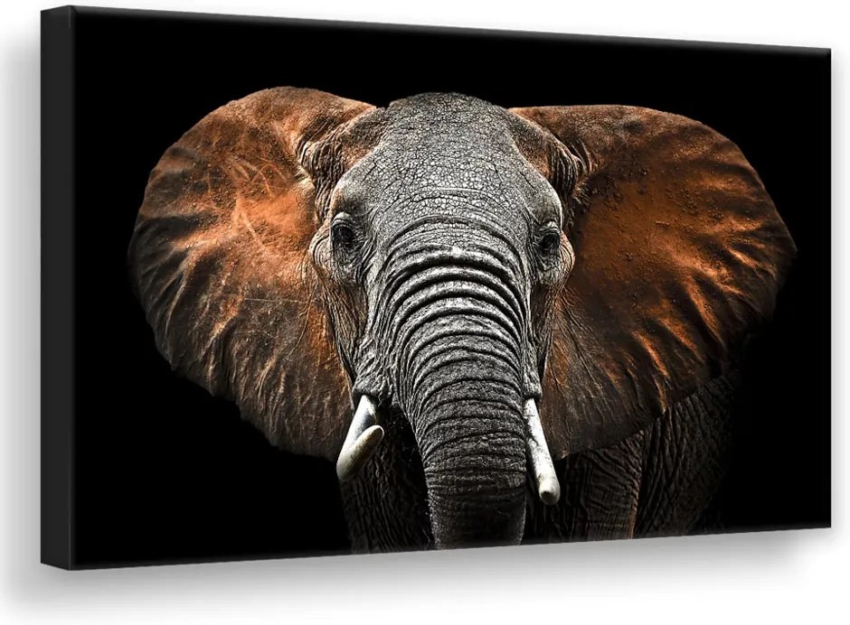 Styler Tablou - Red Elephant | Dimensiuni: 85x113 cm