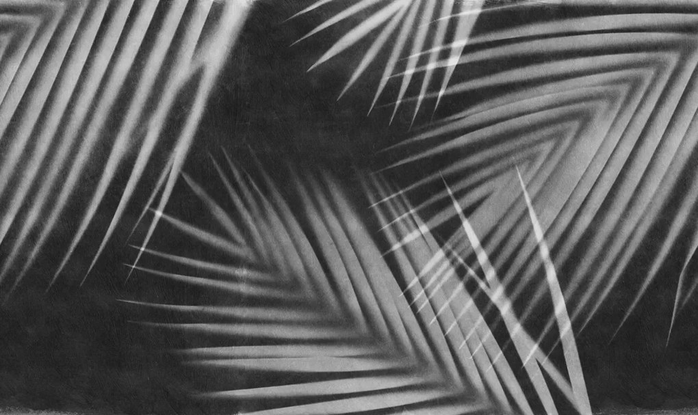 Tapet Palm Gaze, Black &amp; White, Rebel Walls