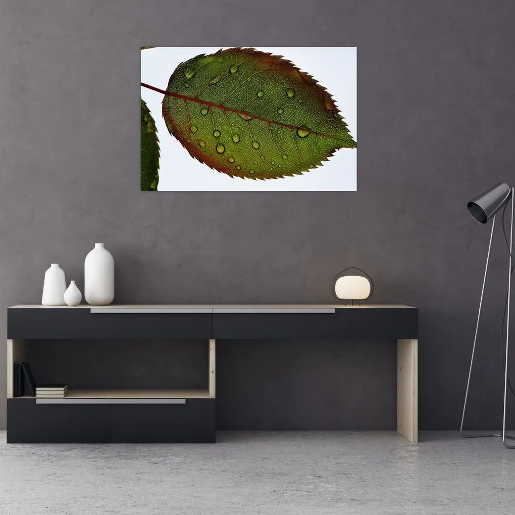 Tablou - Frunze de trandafir (90x60 cm)