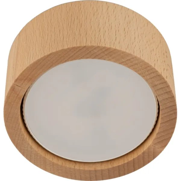 Spot EVE 1xGX53/11W/230V fag