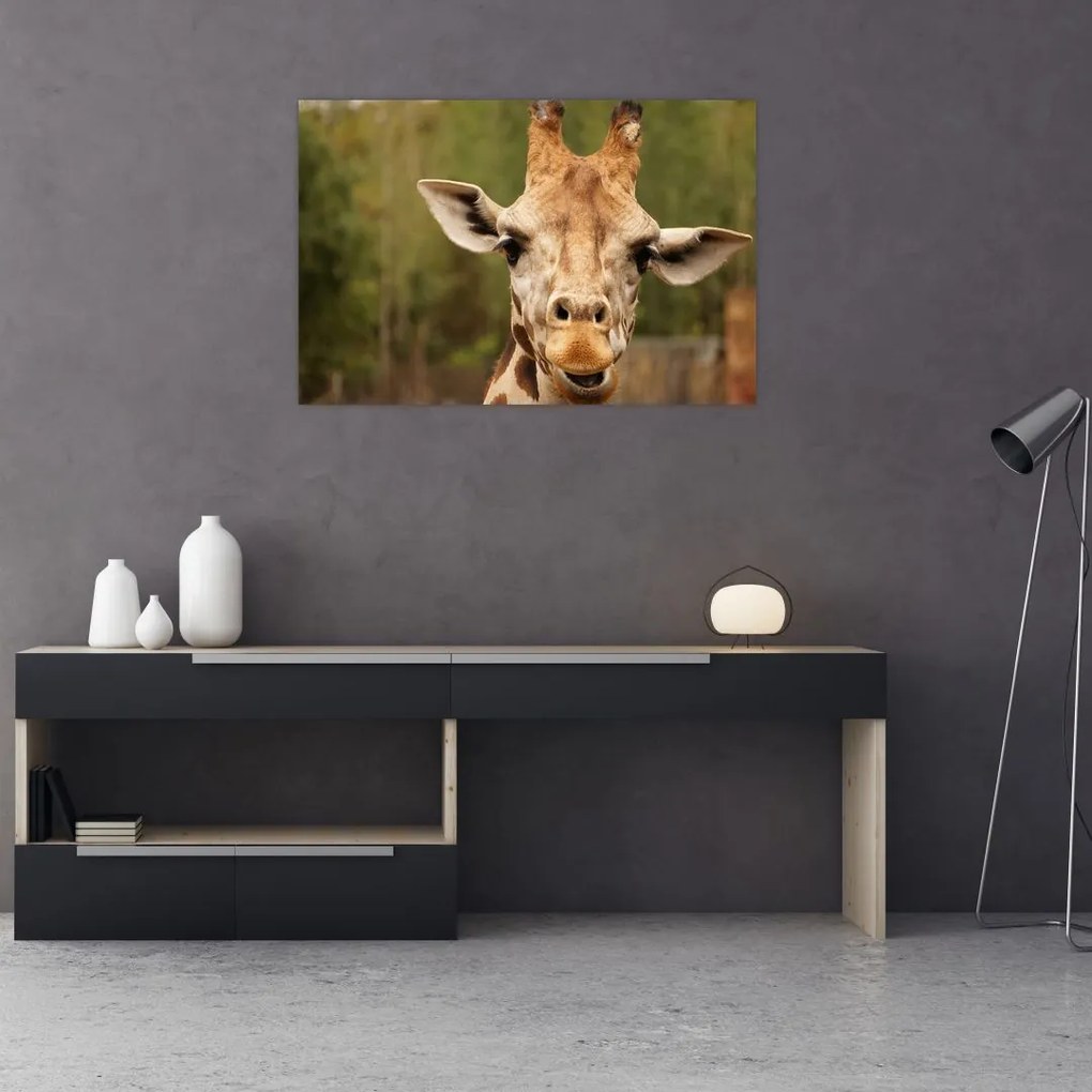 Tablou girafe (90x60 cm)