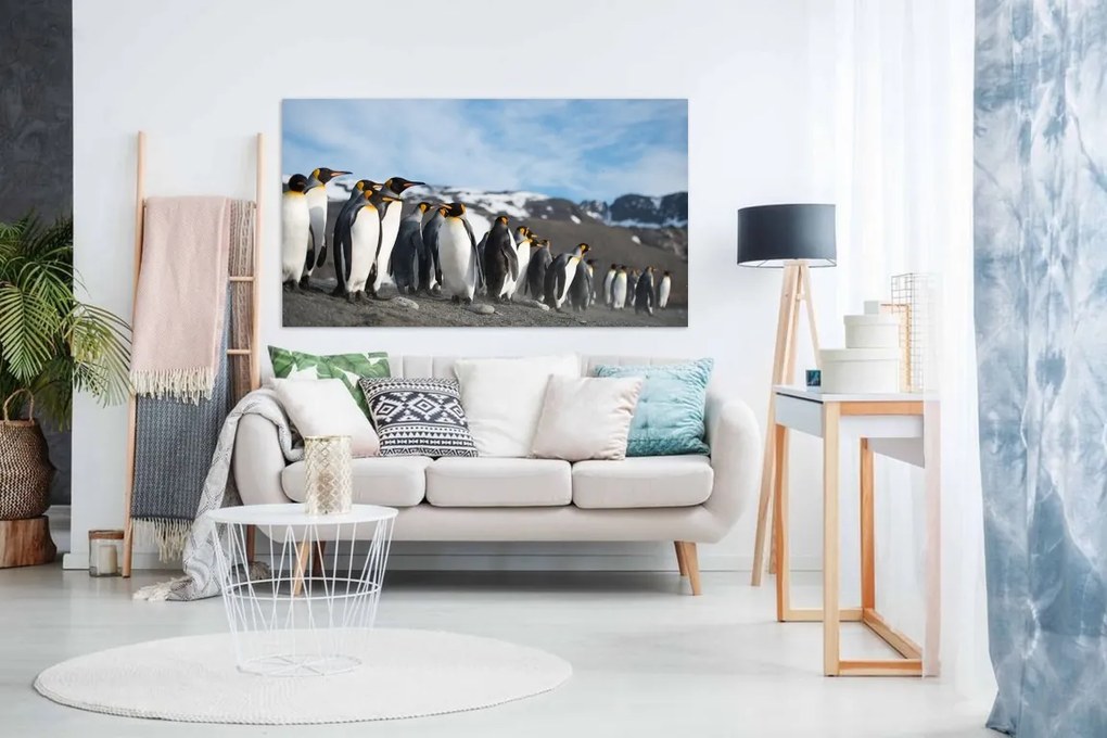 Tablou Pinguini - 120x80cm