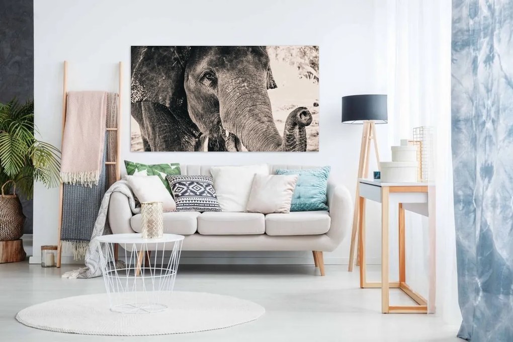 Tablou Canvas Elefant - 90x60cm