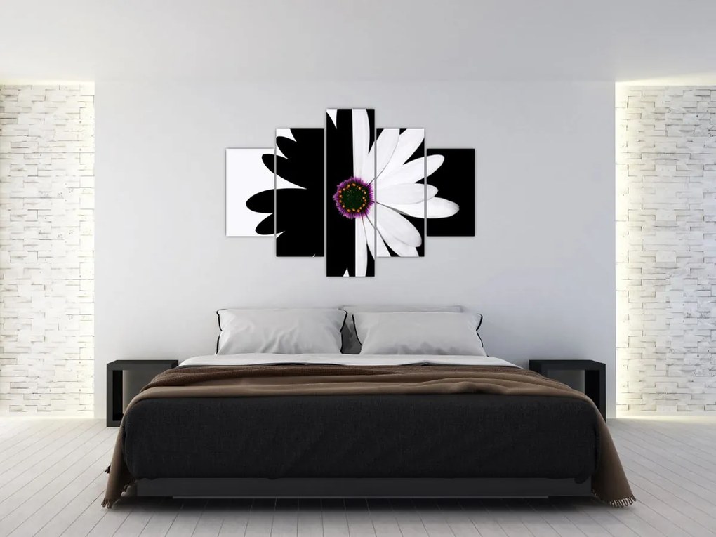 Tablou - Floare, alb- negru (150x105 cm)