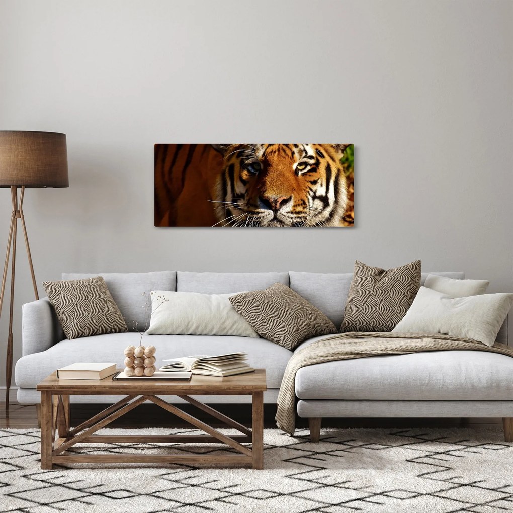Tablou cu tigrul (120x50 cm)