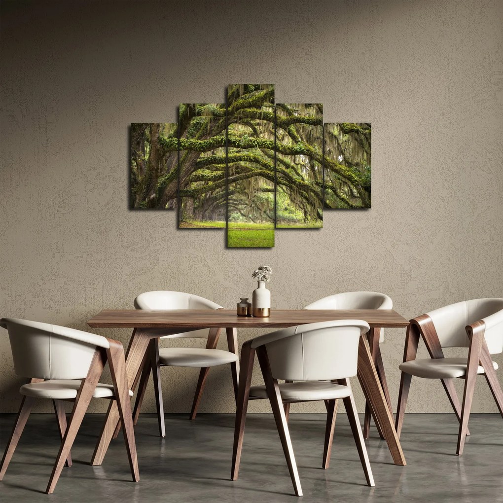 Tablou - Oaks Avenue, Charleston, Carolina de Sud, SUA (150x105 cm)