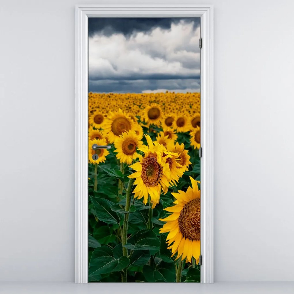 Fototapet pentru ușă - Câmp cu floare soarelui (95x205cm)