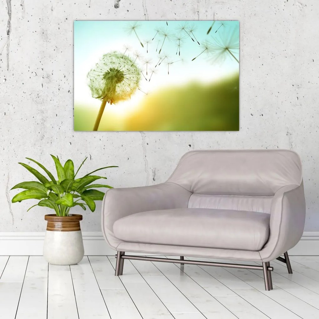 Tablou - Păpădia în vânt (90x60 cm)
