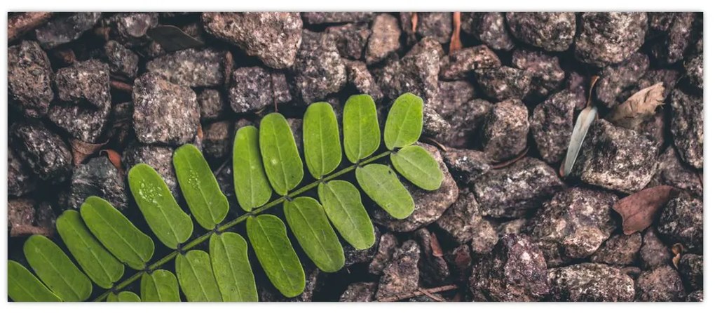 Tablou cu planta verde (120x50 cm)