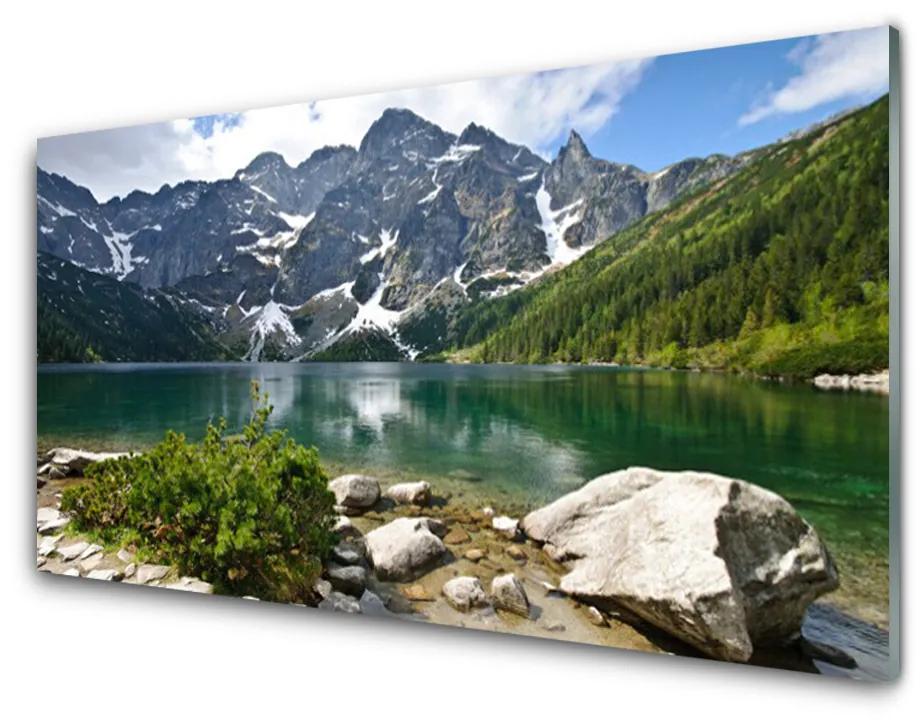 Tablou pe sticla acrilica Lacul Munții Peisaj Albastru Gri Alb