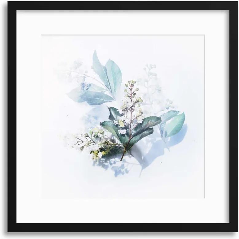Imagine în cadru - Floral Arrangements & Shadows II 40x40 cm