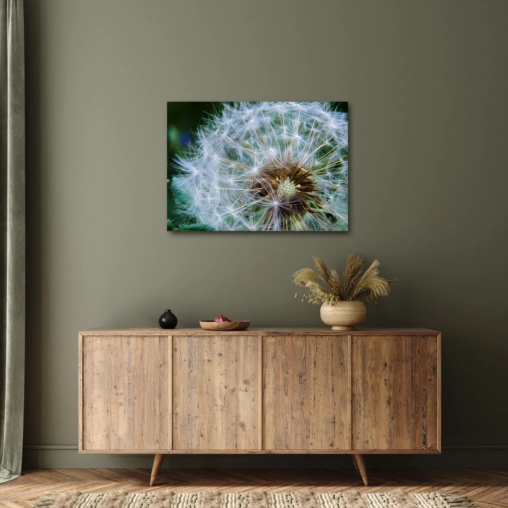 Tabloul cu păpădie desflorit (70x50 cm)