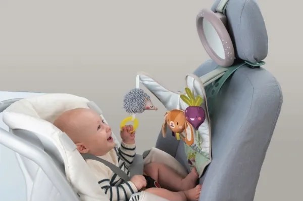 Centru de joacă auto Grădină Taf Toys