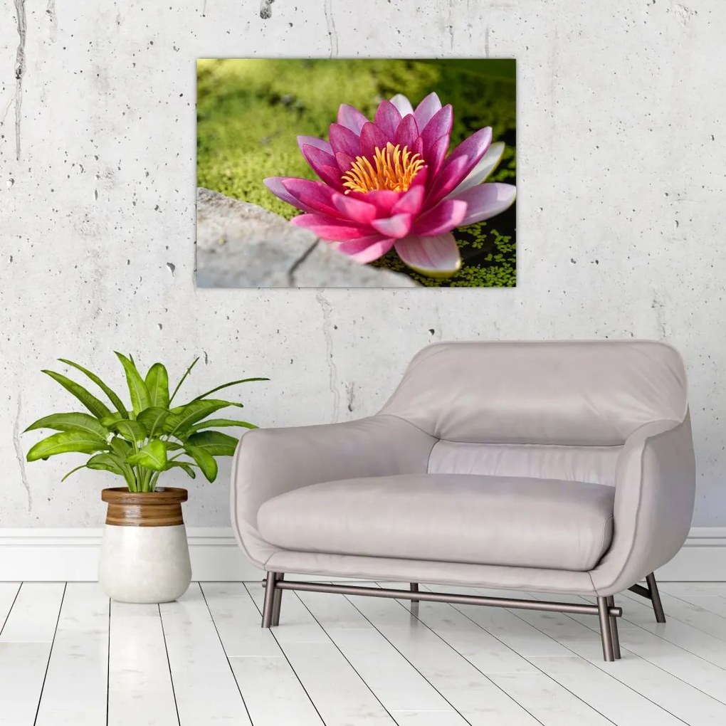 Tablou - Lotus (70x50 cm)