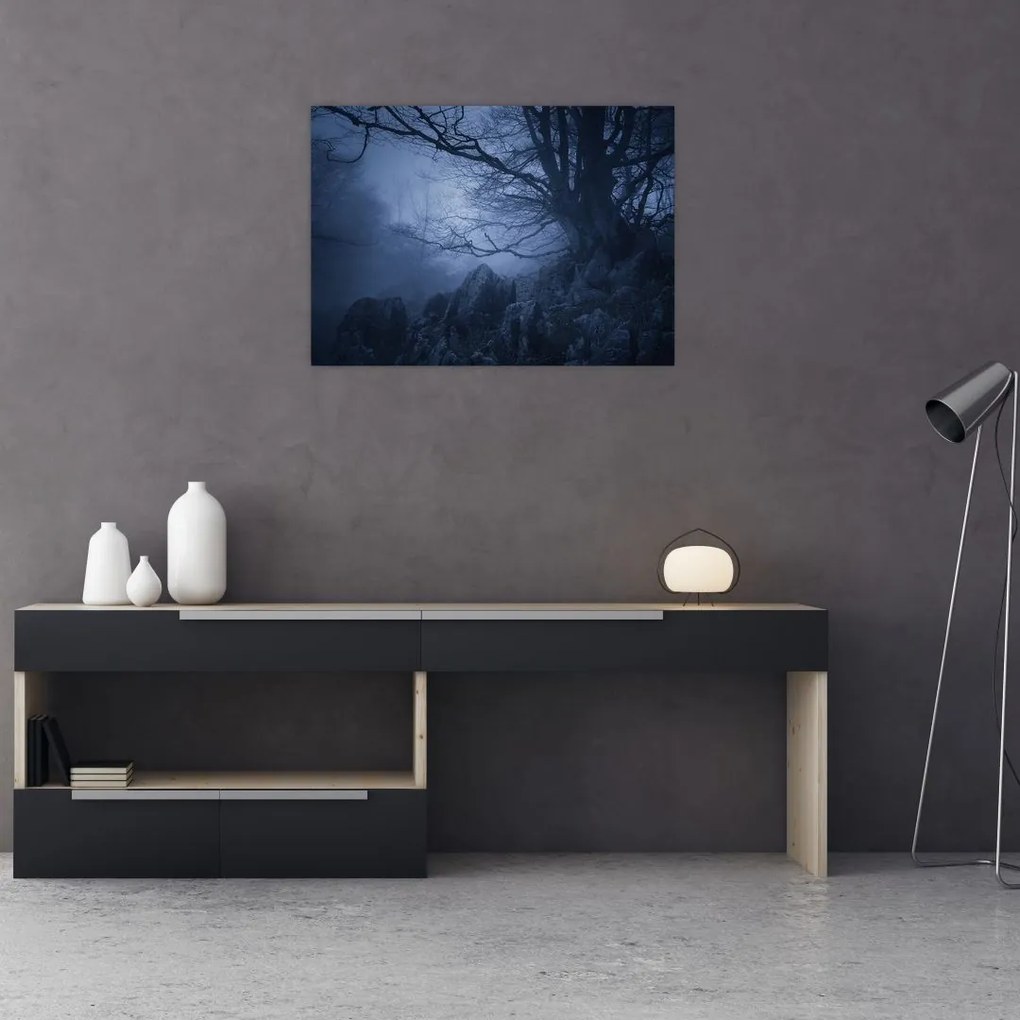 Tablou pe sticlă pădurii întunecate (70x50 cm)
