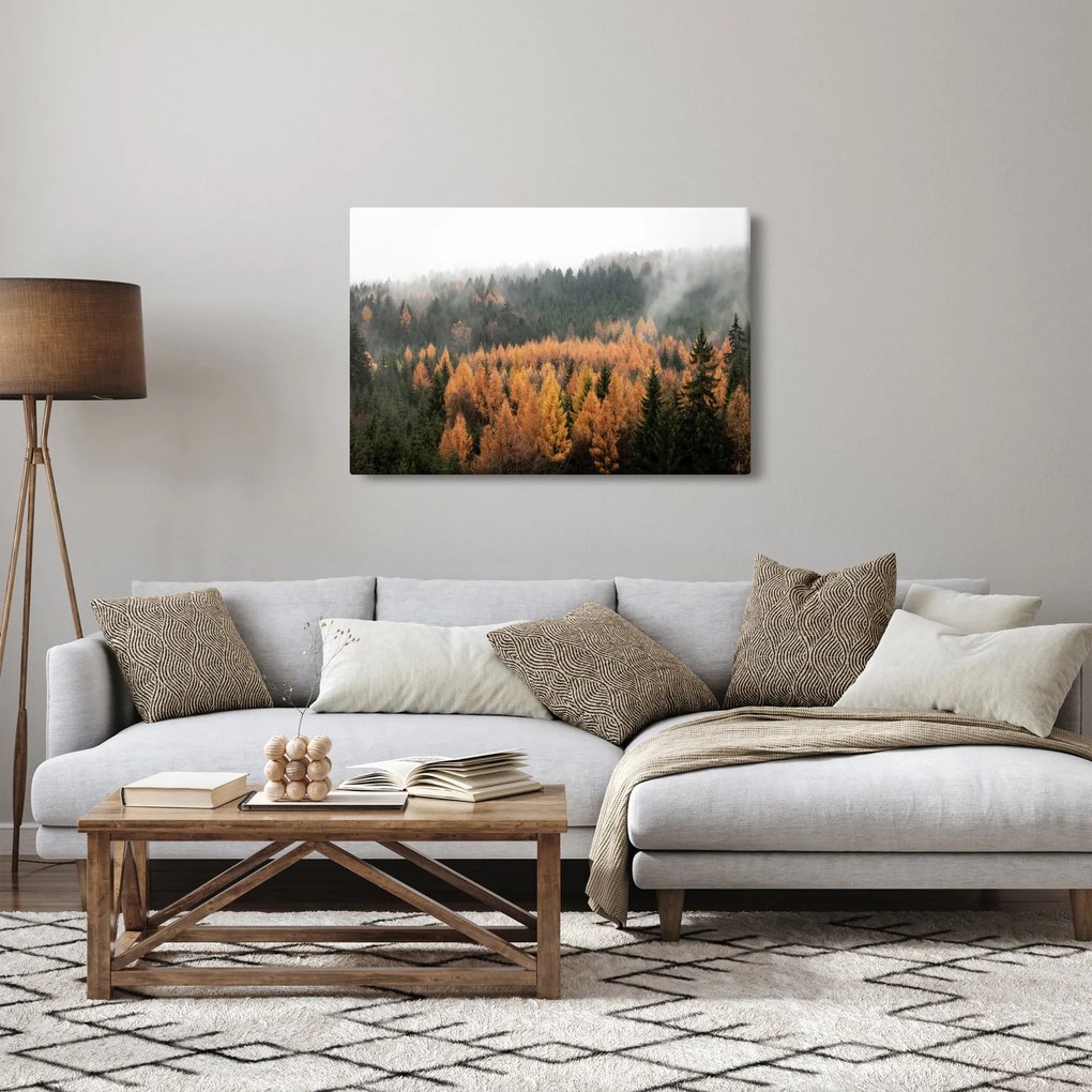 Tablou - Pădure toamna (90x60 cm)