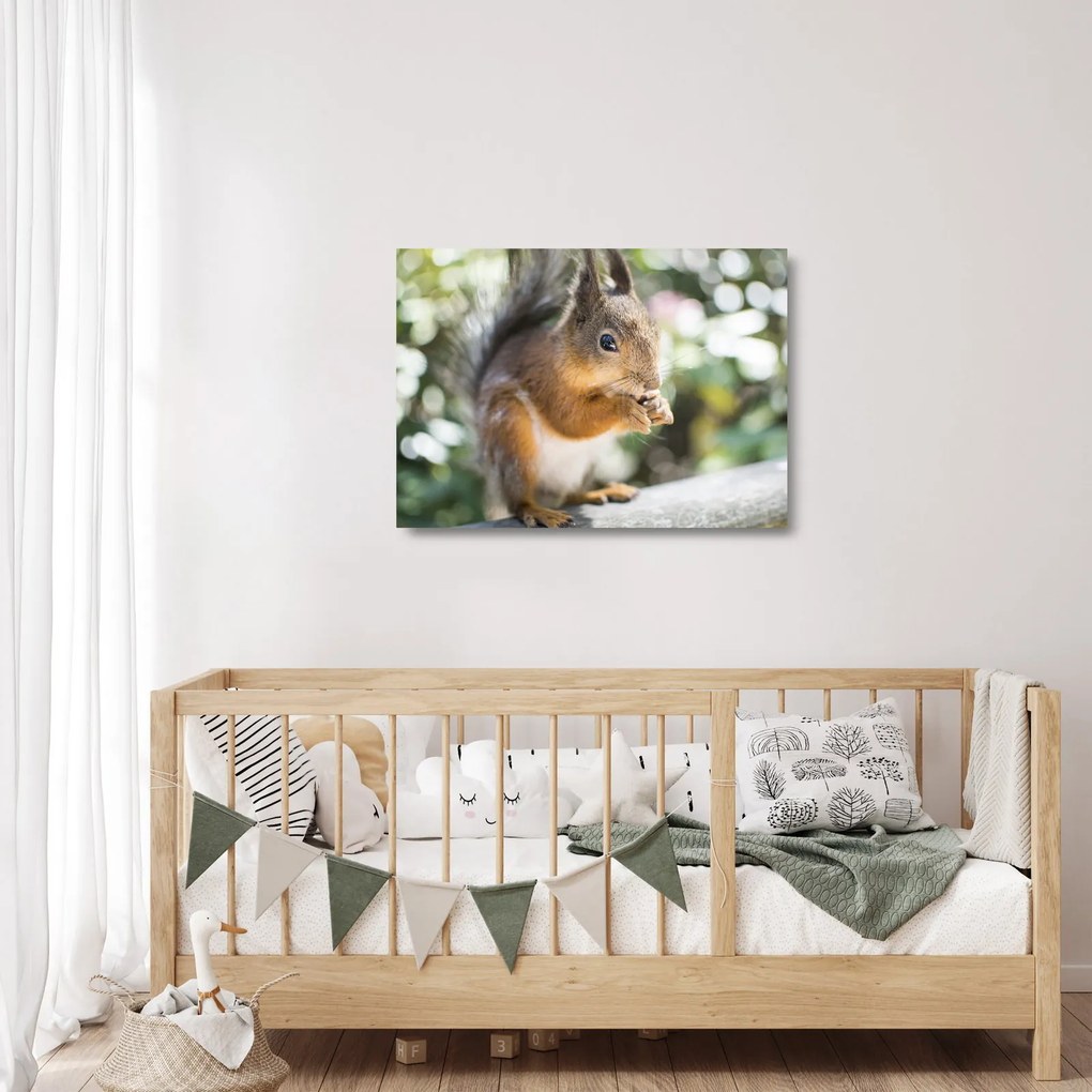 Tablou pe sticlă cu veverița (70x50 cm)