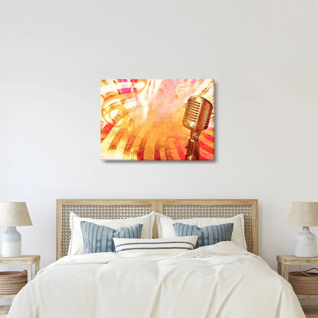Tablou - Microfon retro (70x50 cm)