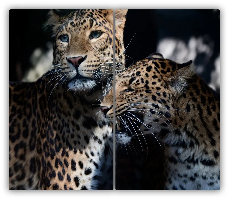 Tocator din sticla doi leoparzi