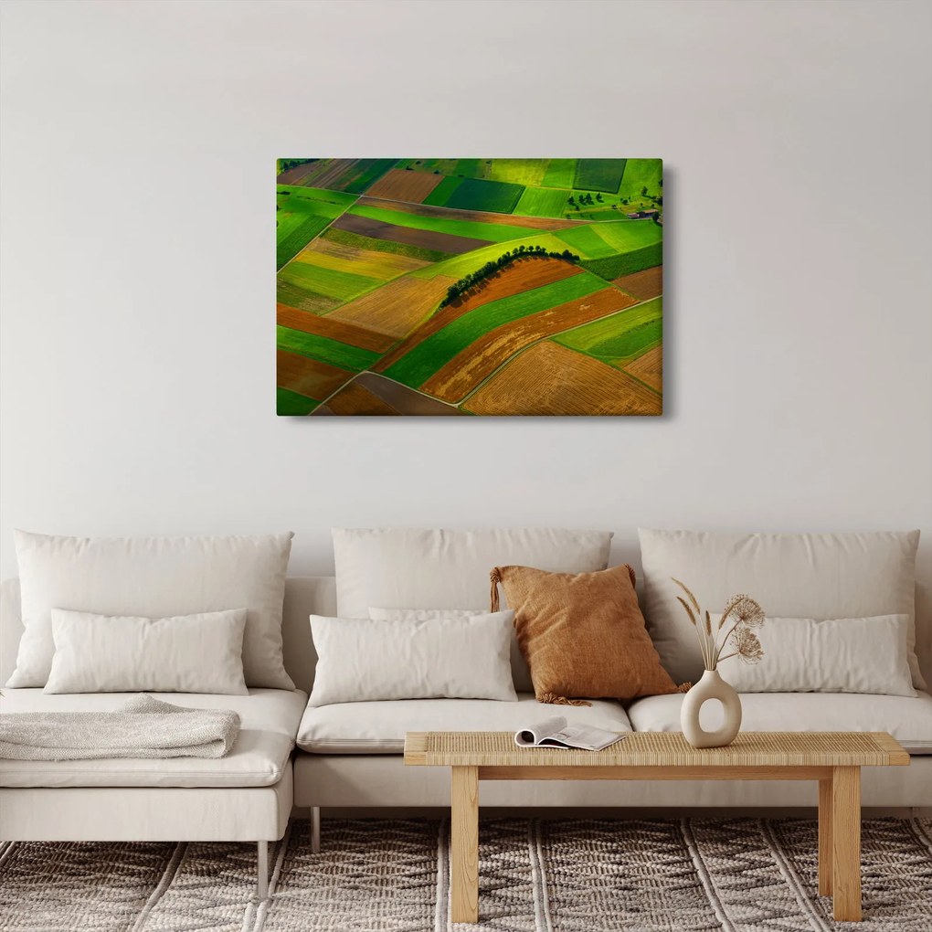 Tablou - Lan, luncile (90x60 cm)