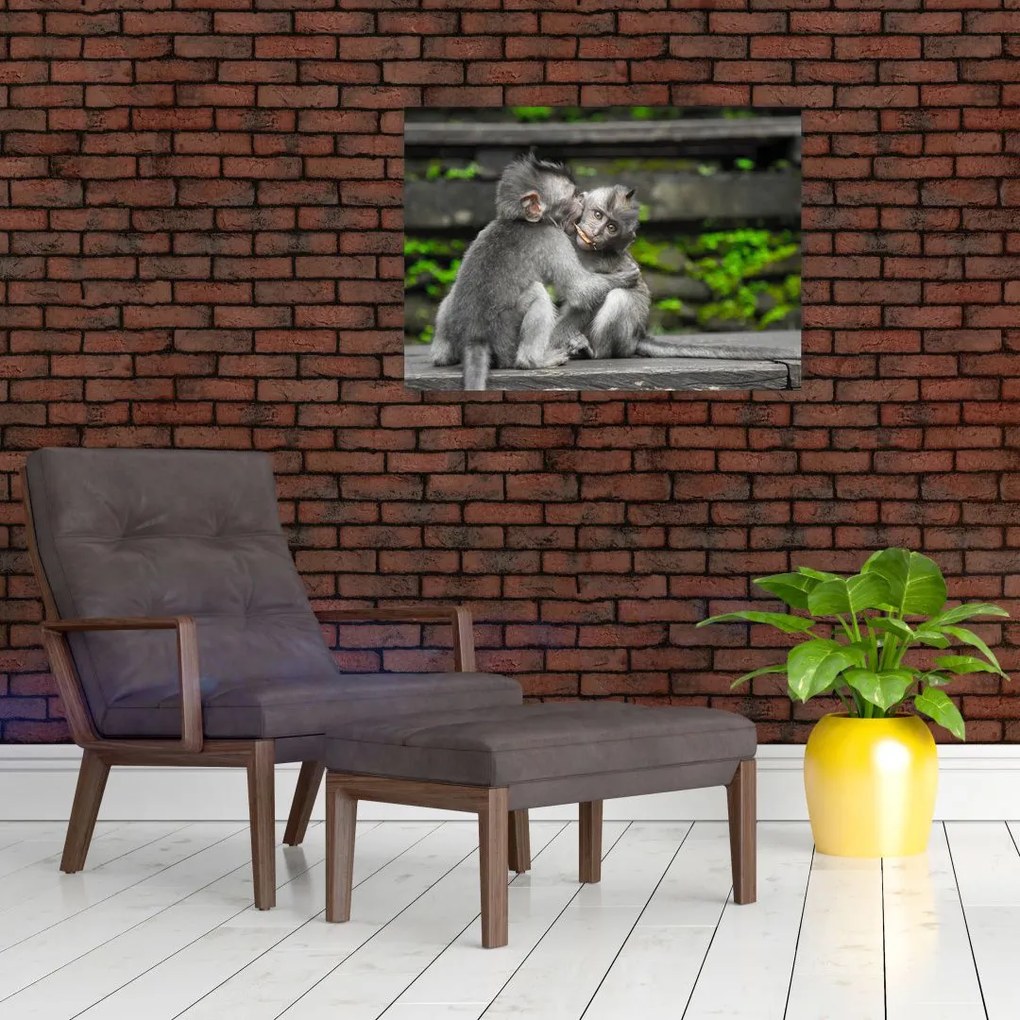 Tablou - maimuțica (70x50 cm)